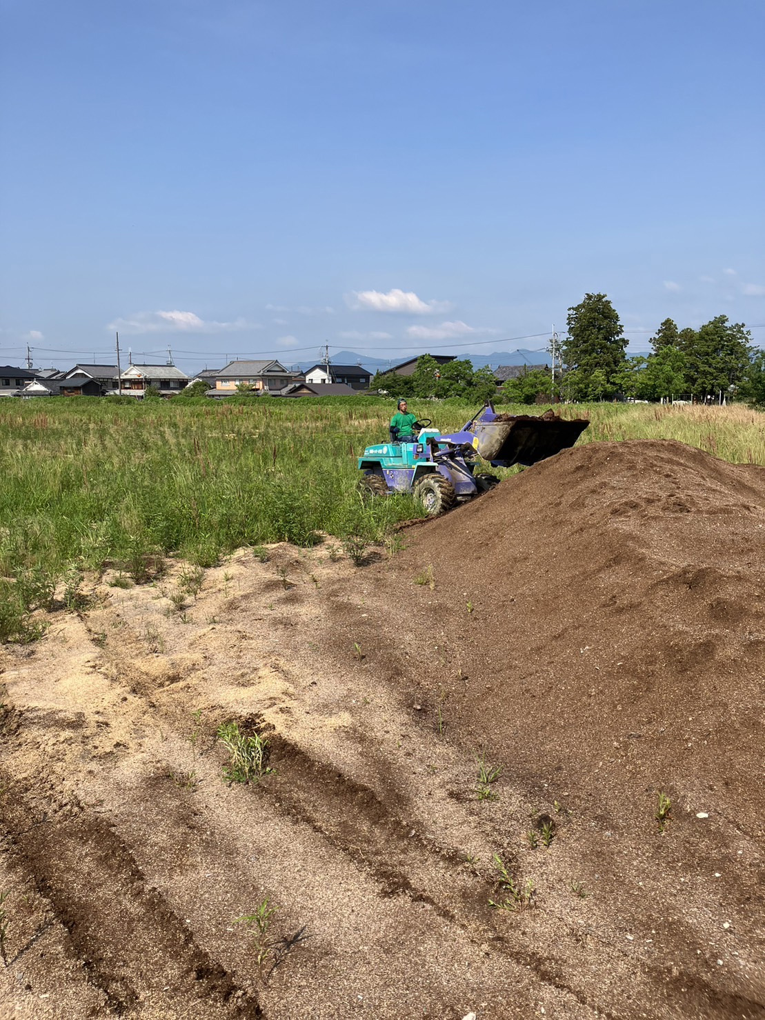 耕作放棄地を再活用