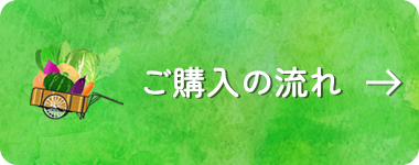 ご購入の流れ